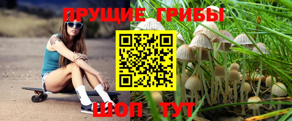 Галлюциногенные грибы Psilocybine cubensis Новокуйбышевск